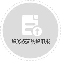 税务核定纳税申报