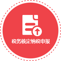 税务核定纳税申报